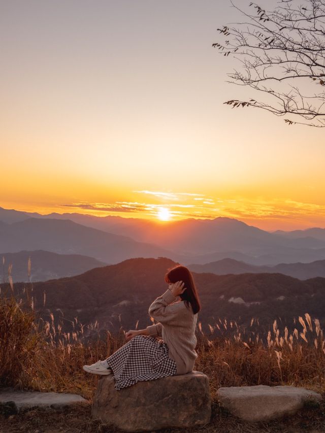 양털로 뒤덮인 것 같은 황매산🐑