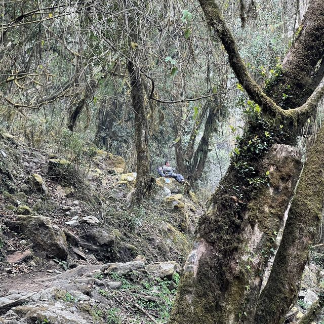 Mardi Himal Trek ..