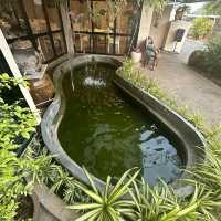 ร้านอาหารเรือนทิพย์ จังหวัดกระบี่