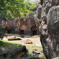 【 市區內的傳統動物園。天王寺動物園 】