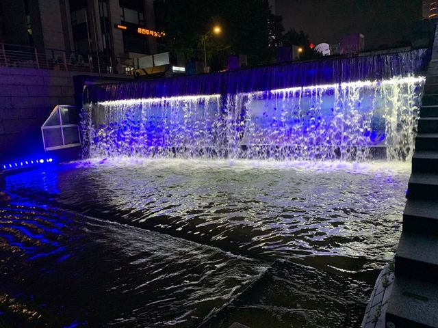 Cheonggyecheon Stream 🦆