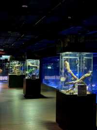 Aquaria Phuket อะควาเรียมมาตรฐานสากล