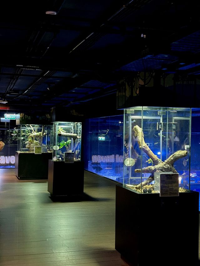 Aquaria Phuket อะควาเรียมมาตรฐานสากล