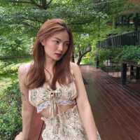 พังงาเหมืองสวยในหุบเขา