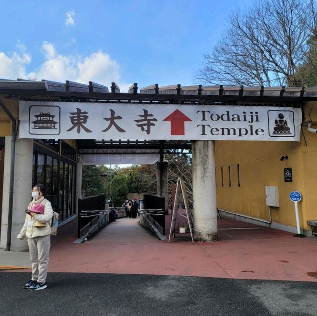 充滿禪意的古老寺廟🏯🧘🏻‍♂️