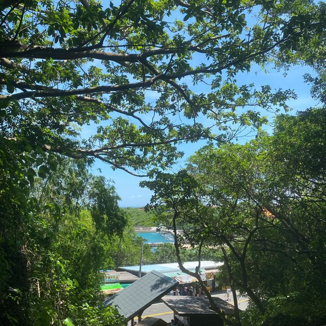 ✨山豬溝生態步道✨