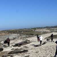  Pebble Beach ชายหาดสวยในอเมริกา