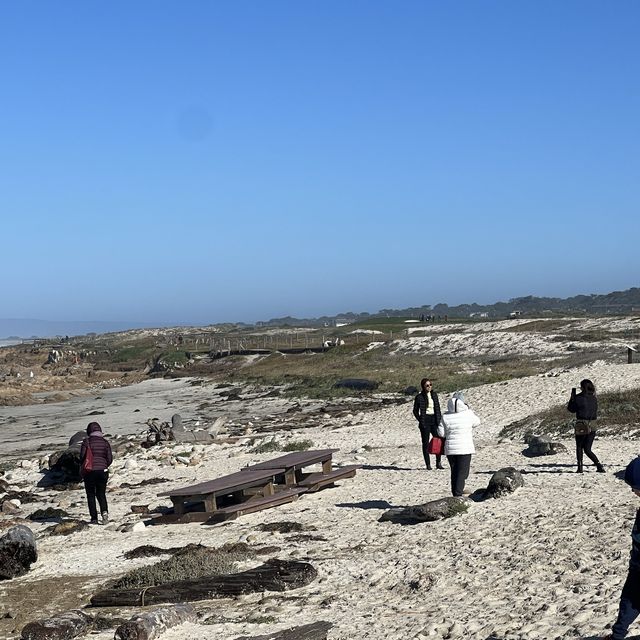  Pebble Beach ชายหาดสวยในอเมริกา