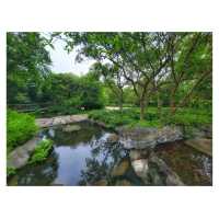 香港濕地公園 Hong Kong Wetland Park