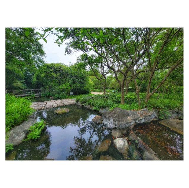 香港濕地公園 Hong Kong Wetland Park