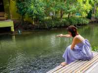รีสอร์ทริมน้ำอัมพวา บรรยากาศดีมากเลยนะ