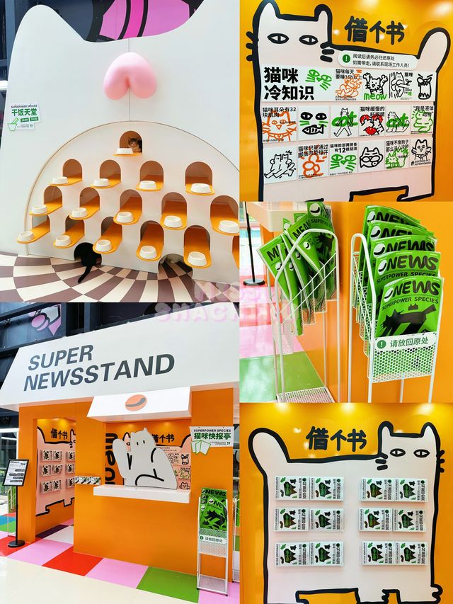 ⭐️一齊喵喵喵🐱商場入面竟然可以玩貓貓🐈‍⬛