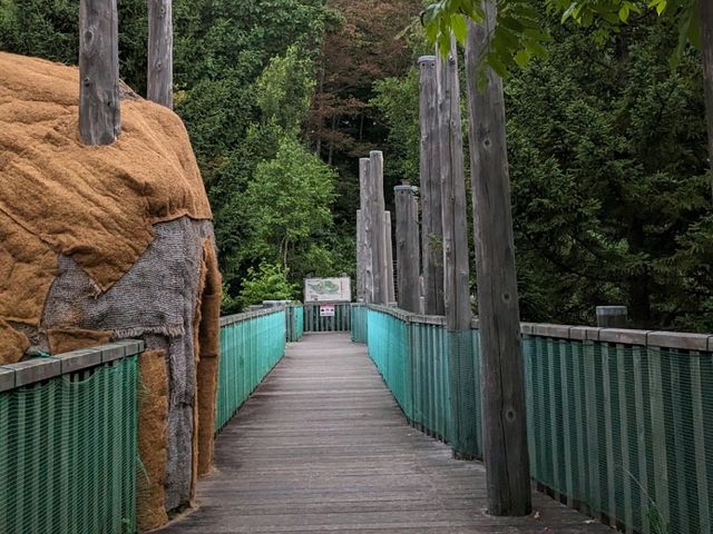 【親子で楽しい大きい公園】北海道　滝野すずらん丘陵公園