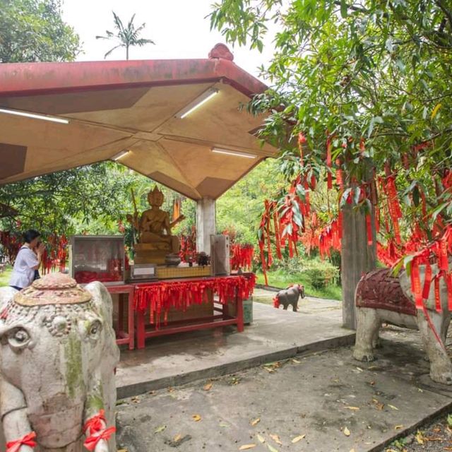 ทัวร์อุทยานเย่หลิว จิ่วเฟิ่น ซือเฟิ่น ขึ้นรถจากไทเป