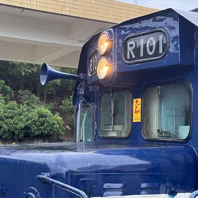 秋雨裡的藍皮解憂號之旅