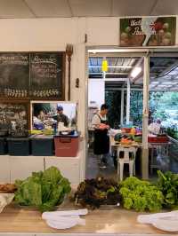 A rainforest farm stay experience in Malaysia 