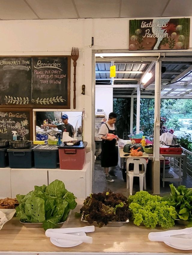 A rainforest farm stay experience in Malaysia 