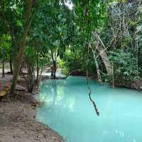 สวนรุกขชาติวังก้านเหลือง