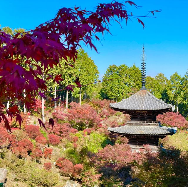 Joraku-ji: Zen Oasis Unveiled