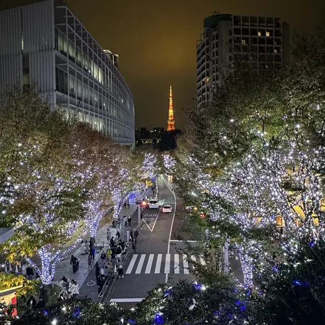 ✨하얀 빛깔로 반짝이는 거리와 붉은 도쿄타워의 아름다운 조화 : 케야키자카 일루미네이션✨