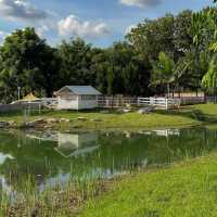 Bucolic ฟาร์มคาเฟ่เขาใหญ่