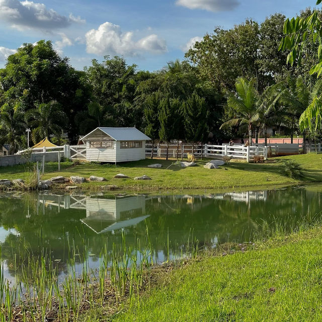 Bucolic ฟาร์มคาเฟ่เขาใหญ่