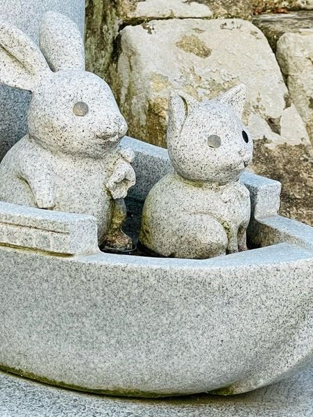 【島根県/出雲大社・神楽殿】2023年行ってよかった！島根県の神社13