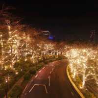 Magical Illuminations at Roppongi