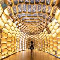 A trip to the Folkwang museum 