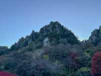 紅葉名所　一目八景