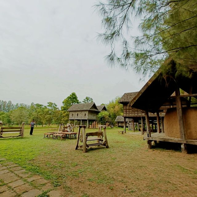 ชมทุ่งดอกไม้ที่จิมทอมป์ 