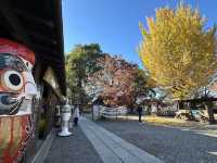 日本高崎市達磨寺 觀音山