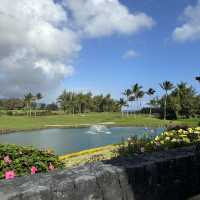 티이거우주의 영광이 담긴 하와이 골프 성지