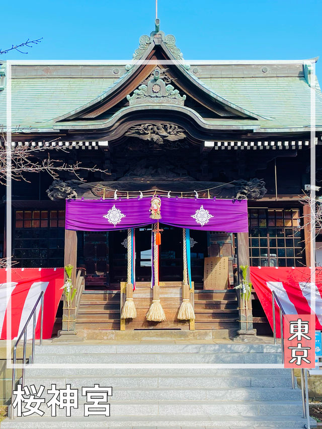 【東京都/桜神宮】正月の余韻残る参拝