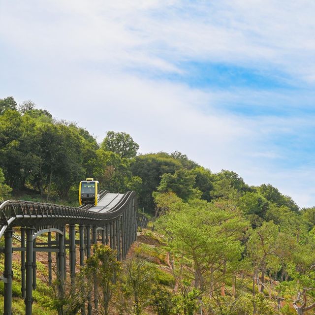 Hwagaesan Mountain Monorail (화개산 모노레일)