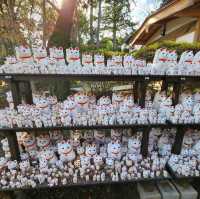 Gotokuji Temple