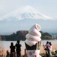 Oishi Park Cafe, Kawaguchiko