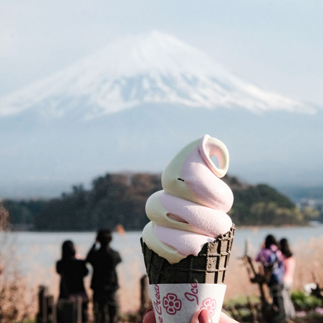 Oishi Park Cafe, Kawaguchiko