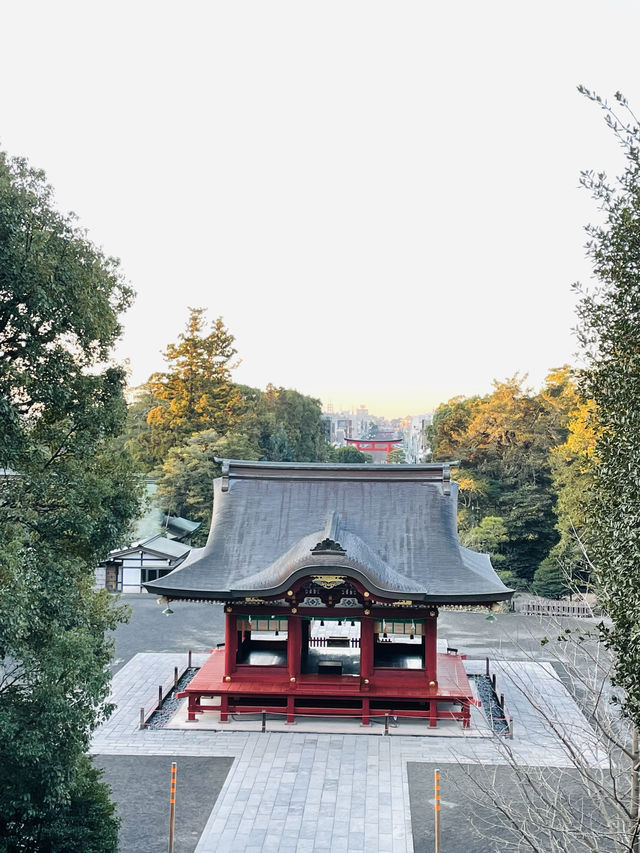 【神奈川県】美しき下拝殿　鶴岡八幡宮の舞殿