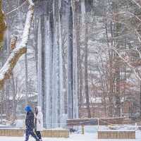 Winter dreams come alive at Nami Island!