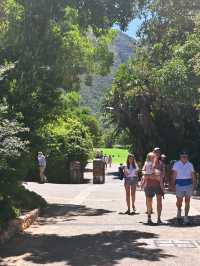 Kirstenbosch National Botanical ปลูกได้ที่เดียว