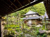 One of the top 3 Inari Shrines in Japan