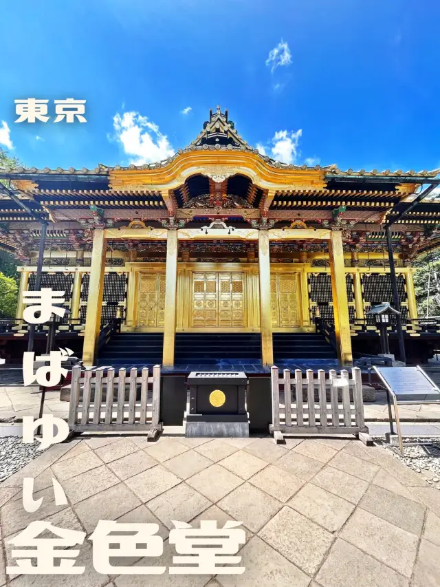 【東京|上野】まばゆい金色堂✨