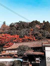 必打卡日本古老歷史氛圍的堀庭園🌿