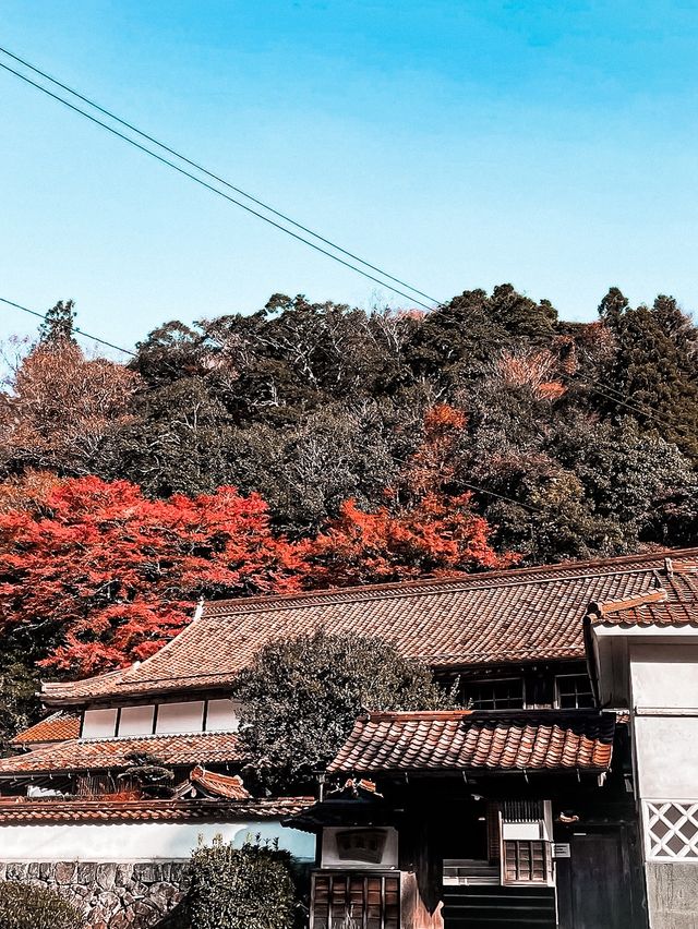 必打卡日本古老歷史氛圍的堀庭園🌿
