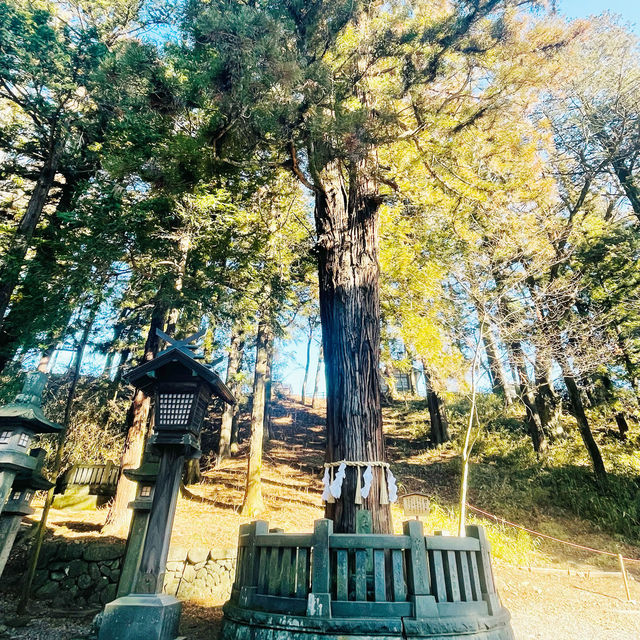 【長野県/下諏訪　全国に2.5万社ある諏訪神社の総本社『諏訪大社』の１つ⛩️】