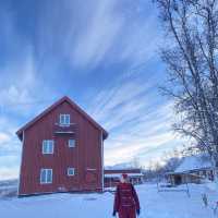 My wishlist - Aurora hunting in Sweden ♥️