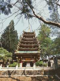 Minh Thanh pagoda - hidden place in Pleiku