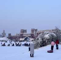 Discovering Harbin's Winter Magic