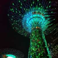 Gardens by the Bay